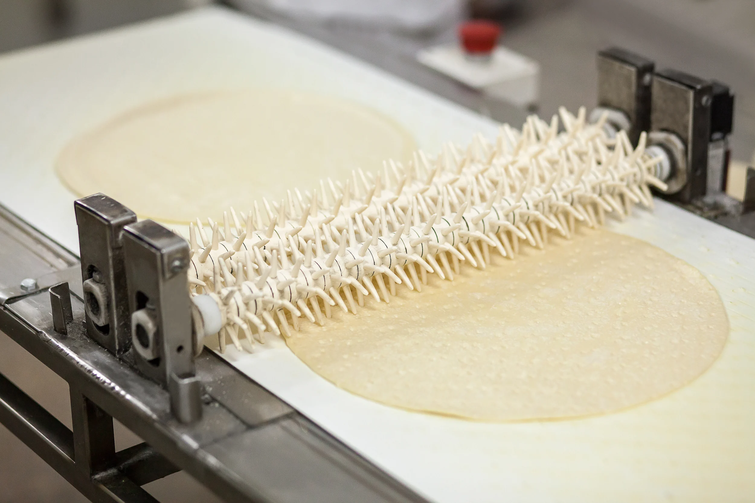 Food Processing Line